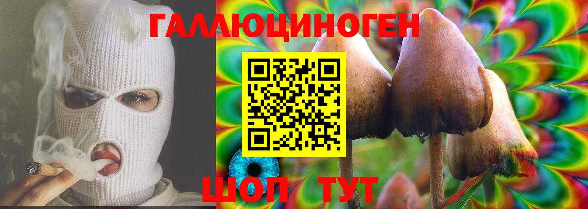 Галлюциногенные грибы прущие грибы  Вход с VPN  Галлюциногенные грибы мицелий  Назрань 